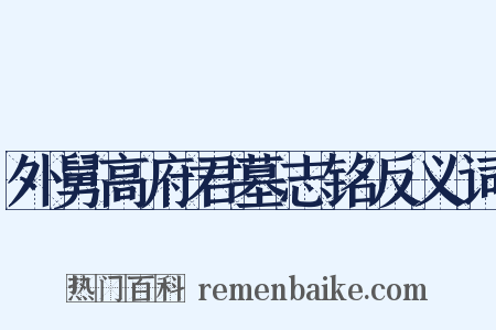 外舅高府君墓志铭反义词是什么意思的图片